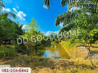For sale land in Thung Yai, Nakhon Si Thammarat