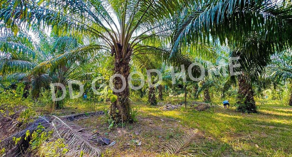 出售 土地 在 Thung Yai, Nakhon Si Thammarat