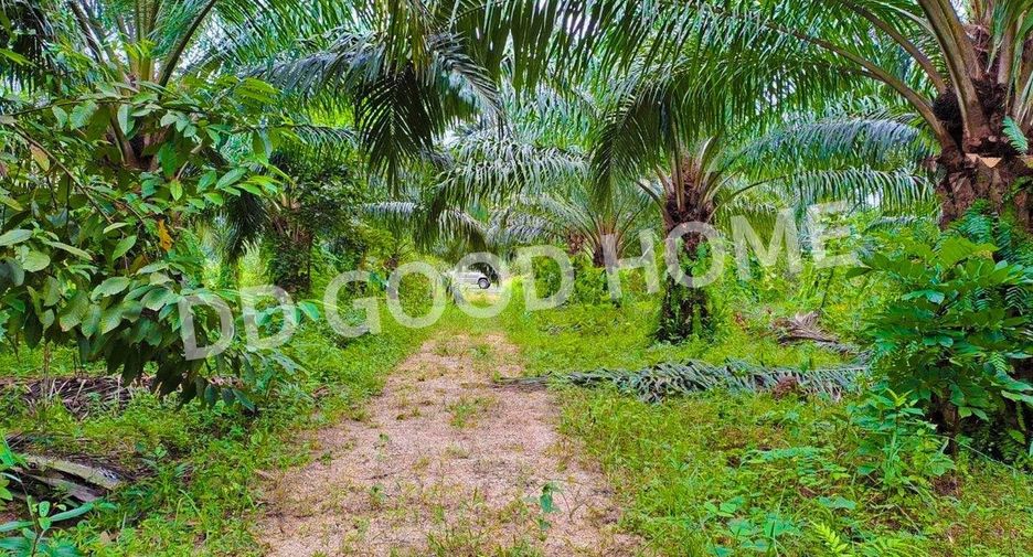 出售 土地 在 Thung Yai, Nakhon Si Thammarat