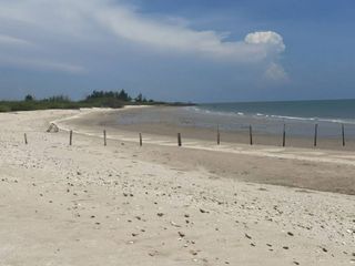 ขาย ที่ดิน ใน ท่ายาง, เพชรบุรี