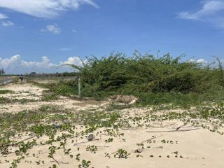 ขาย ที่ดิน ใน ท่ายาง, เพชรบุรี