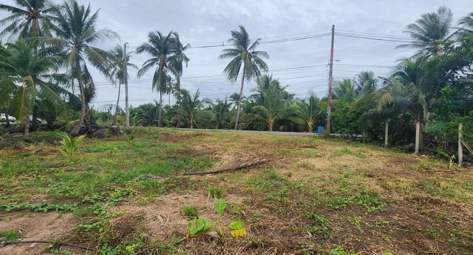 Terreno en alquiler en Mueang Chachoengsao, Chachoengsao