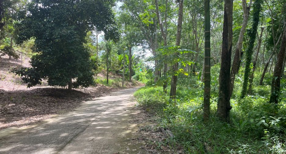 For sale land in Takua Thung, Phang Nga