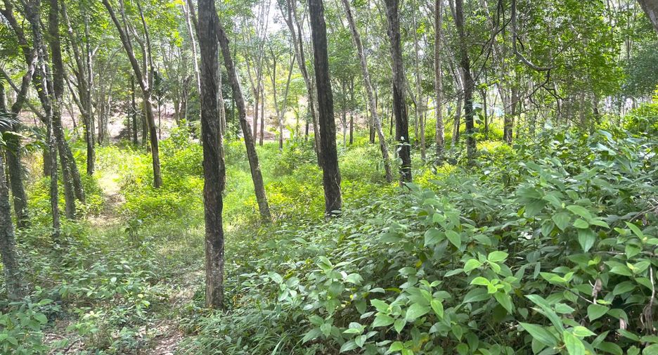 For sale land in Takua Thung, Phang Nga