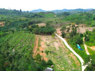 For sale land in Takua Thung, Phang Nga