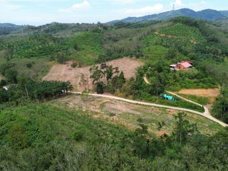 For sale land in Takua Thung, Phang Nga