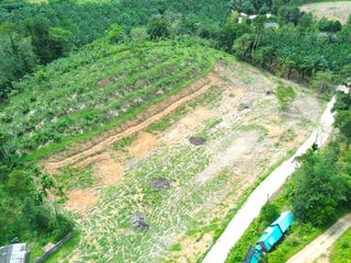 For sale land in Takua Thung, Phang Nga