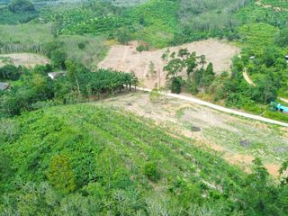 For sale land in Takua Thung, Phang Nga