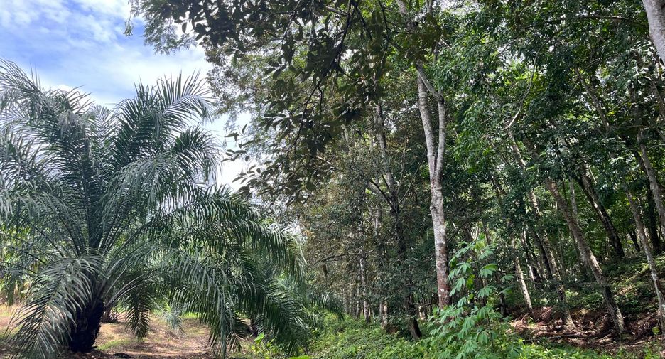 Terreno en venta en Takua Thung, Phang Nga