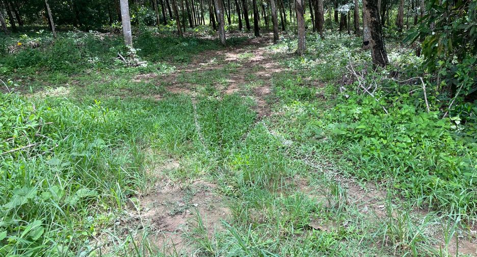 Terreno en venta en Takua Thung, Phang Nga