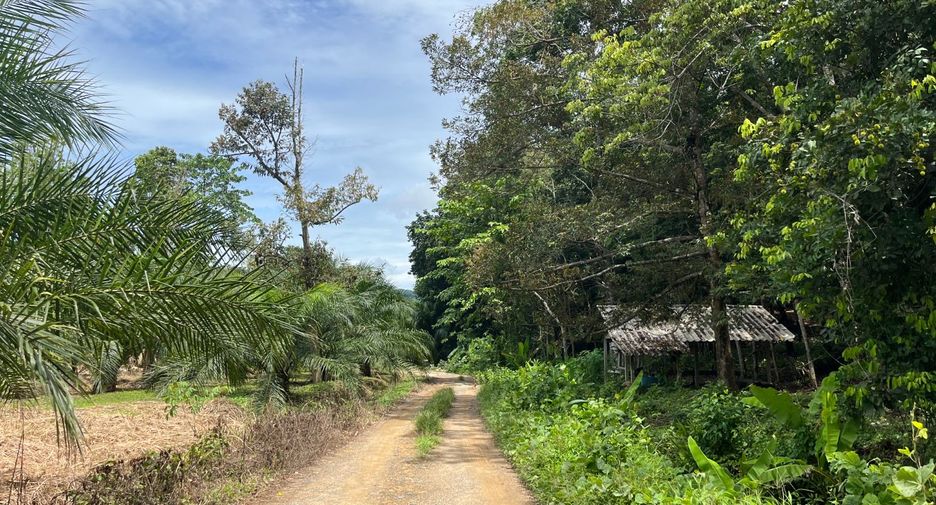 Terreno en venta en Takua Thung, Phang Nga