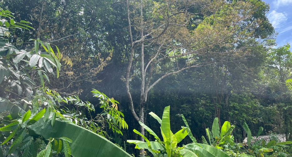 Terreno en venta en Takua Thung, Phang Nga