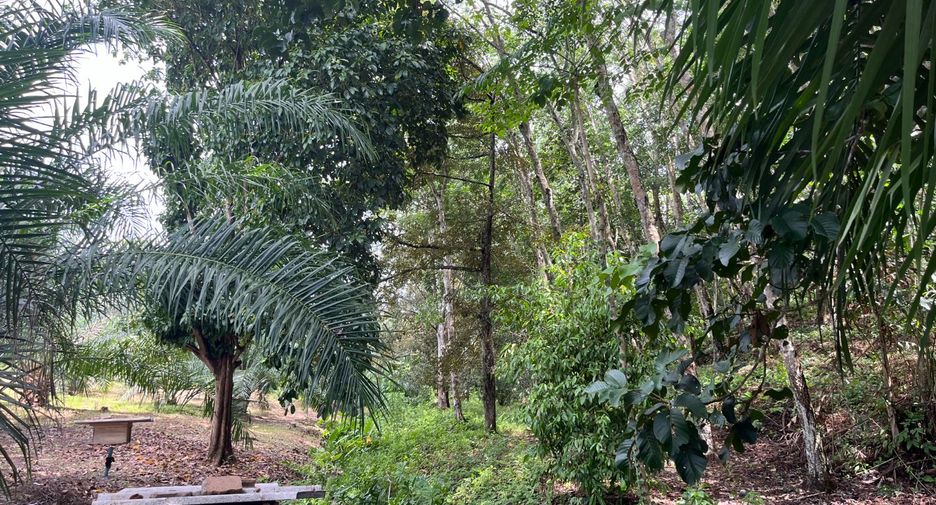 Terreno en venta en Takua Thung, Phang Nga