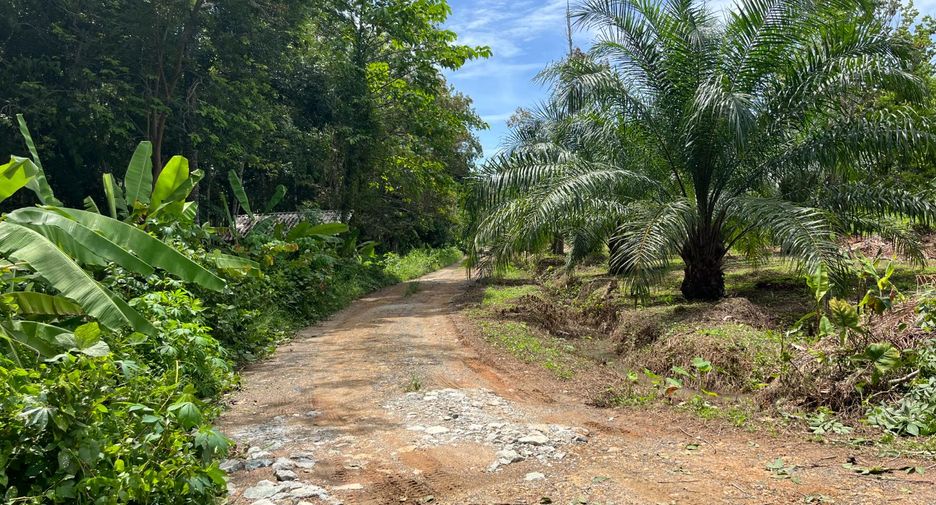 Terreno en venta en Takua Thung, Phang Nga