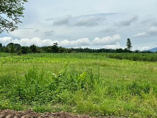 For sale land in Nong Yai, Chonburi