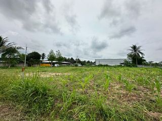 For sale land in Nong Yai, Chonburi