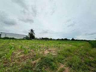 For sale land in Nong Yai, Chonburi