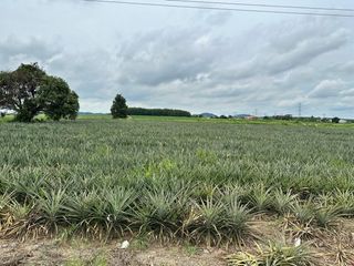 For sale land in Nong Yai, Chonburi