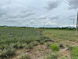 For sale land in Nong Yai, Chonburi
