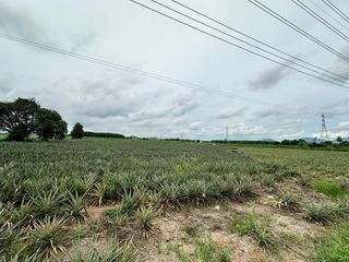 For sale land in Nong Yai, Chonburi