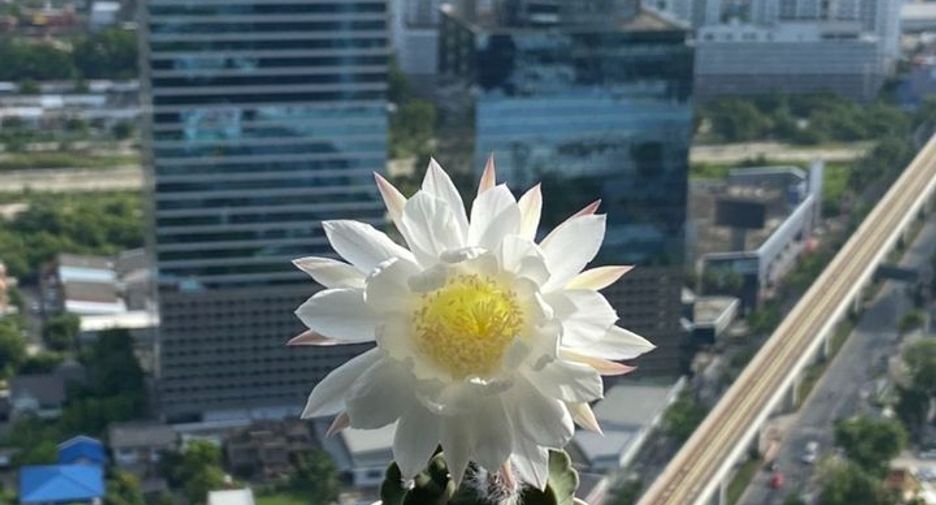 出售 1 卧室 公寓 在 Chatuchak, 曼谷