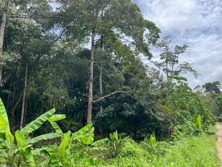 For sale land in Takua Thung, Phang Nga
