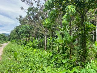 For sale land in Takua Thung, Phang Nga