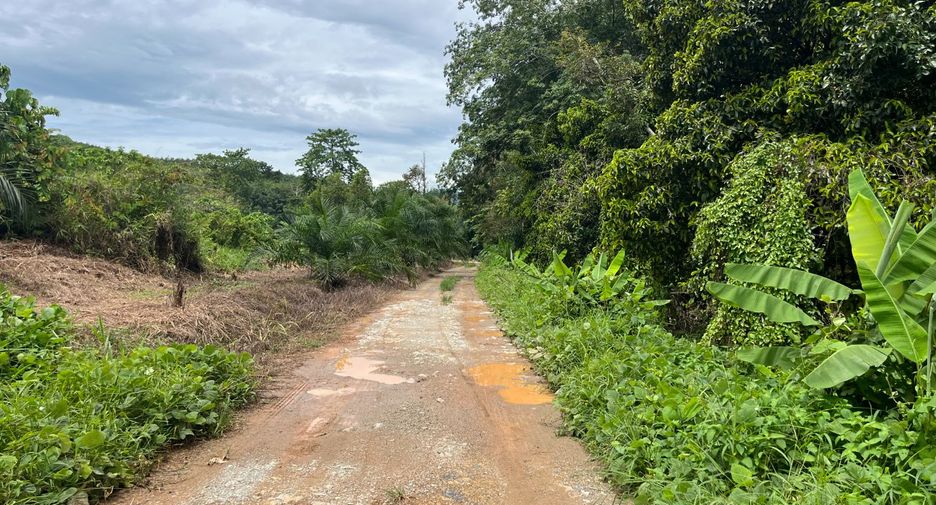 For sale land in Takua Thung, Phang Nga
