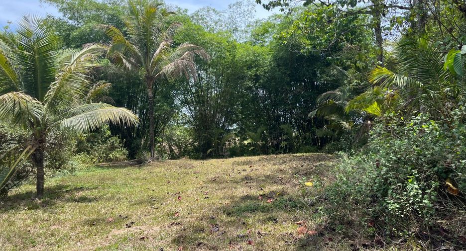 For sale land in Thai Mueang, Phang Nga
