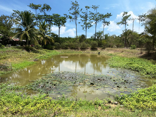 For sale land in Thai Mueang, Phang Nga