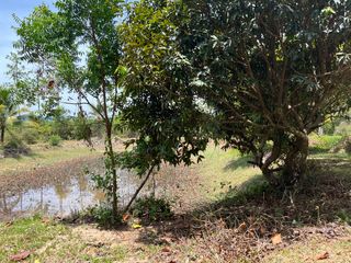 For sale land in Thai Mueang, Phang Nga