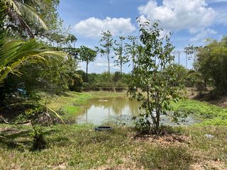 For sale land in Thai Mueang, Phang Nga