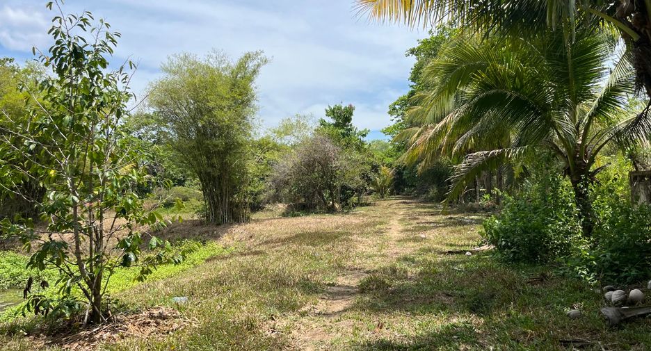 For sale land in Thai Mueang, Phang Nga