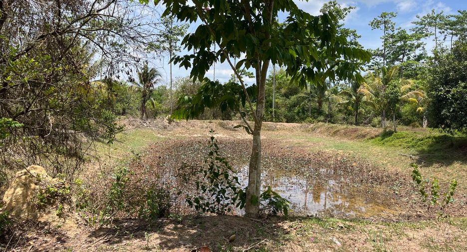 For sale land in Thai Mueang, Phang Nga