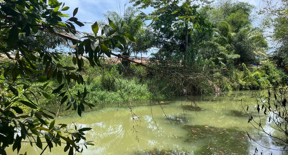 For sale land in Thai Mueang, Phang Nga