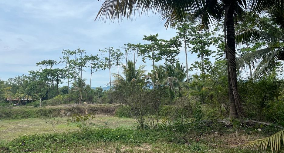 For sale land in Thai Mueang, Phang Nga