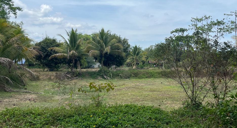 For sale land in Thai Mueang, Phang Nga