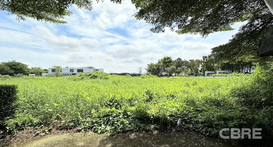 For sale land in Prawet, Bangkok