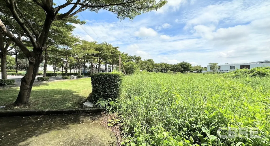 For sale land in Prawet, Bangkok