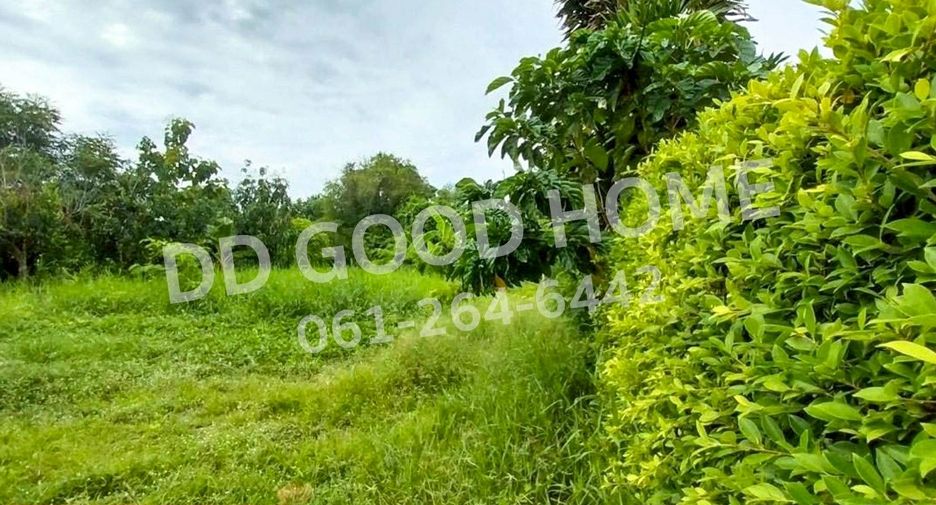 Terreno en venta en Nong Khaem, Bangkok