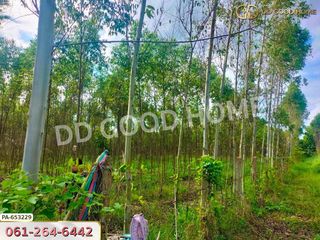 ขาย ที่ดิน ใน เมืองสระแก้ว, สระแก้ว