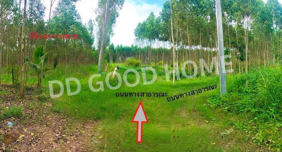 Grundstück zum Kauf in Mueang Sa Kaeo, Sa Kaeo