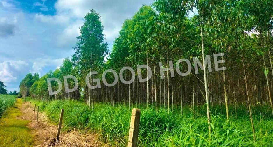 Grundstück zum Kauf in Mueang Sa Kaeo, Sa Kaeo
