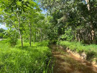 For sale land in Thai Mueang, Phang Nga