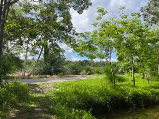 For sale land in Thai Mueang, Phang Nga