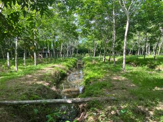 For sale land in Thai Mueang, Phang Nga