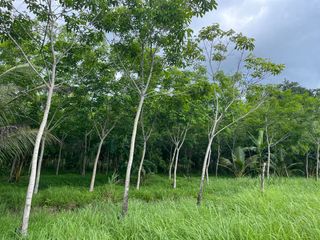 For sale land in Thai Mueang, Phang Nga