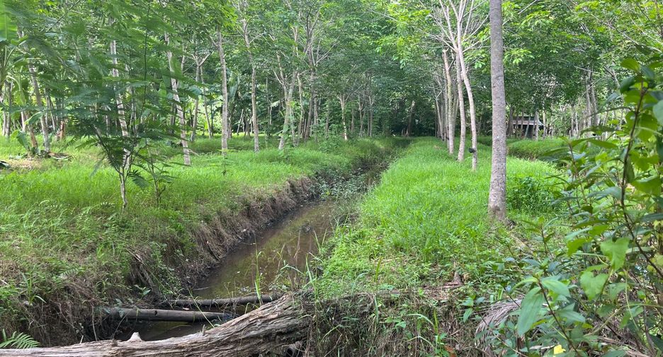 For sale land in Thai Mueang, Phang Nga