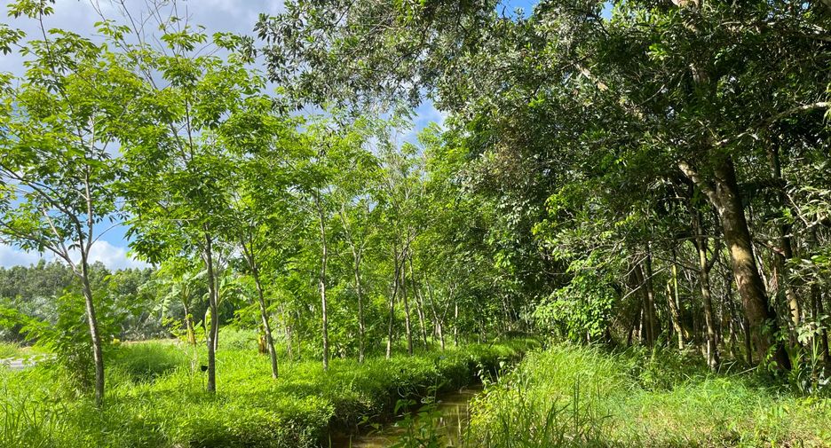 For sale land in Thai Mueang, Phang Nga