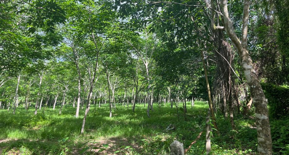 For sale land in Thai Mueang, Phang Nga